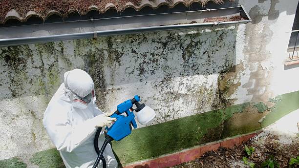 Trusted Mold Remediation service in Waterford, VA - Cheap Mold Removal